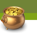 Gold Coins Kettle
